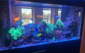 Hotel Le Beau Rivage